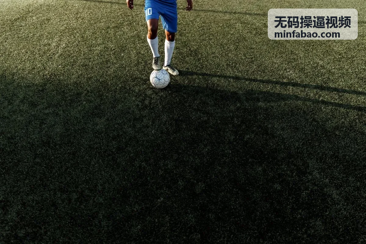 高清无码视频 3